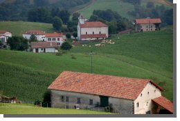 Cliquer pour agrandir
