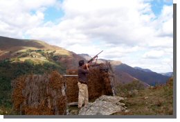 Cliquer pour agrandir