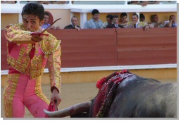 Cliquer pour agrandir