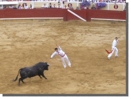Cliquer pour agrandir