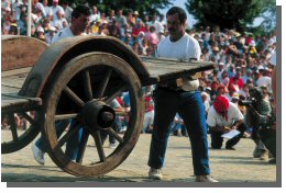 Cliquer pour agrandir